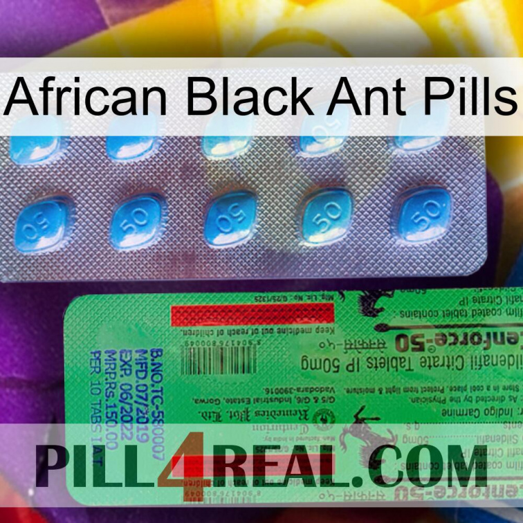 African Black Ant Pills new03